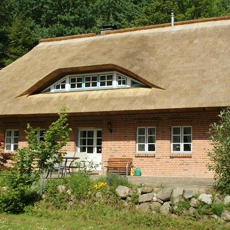 Premiumwohnung im Biosphärenreservat Vilmnitz Exteriör bild