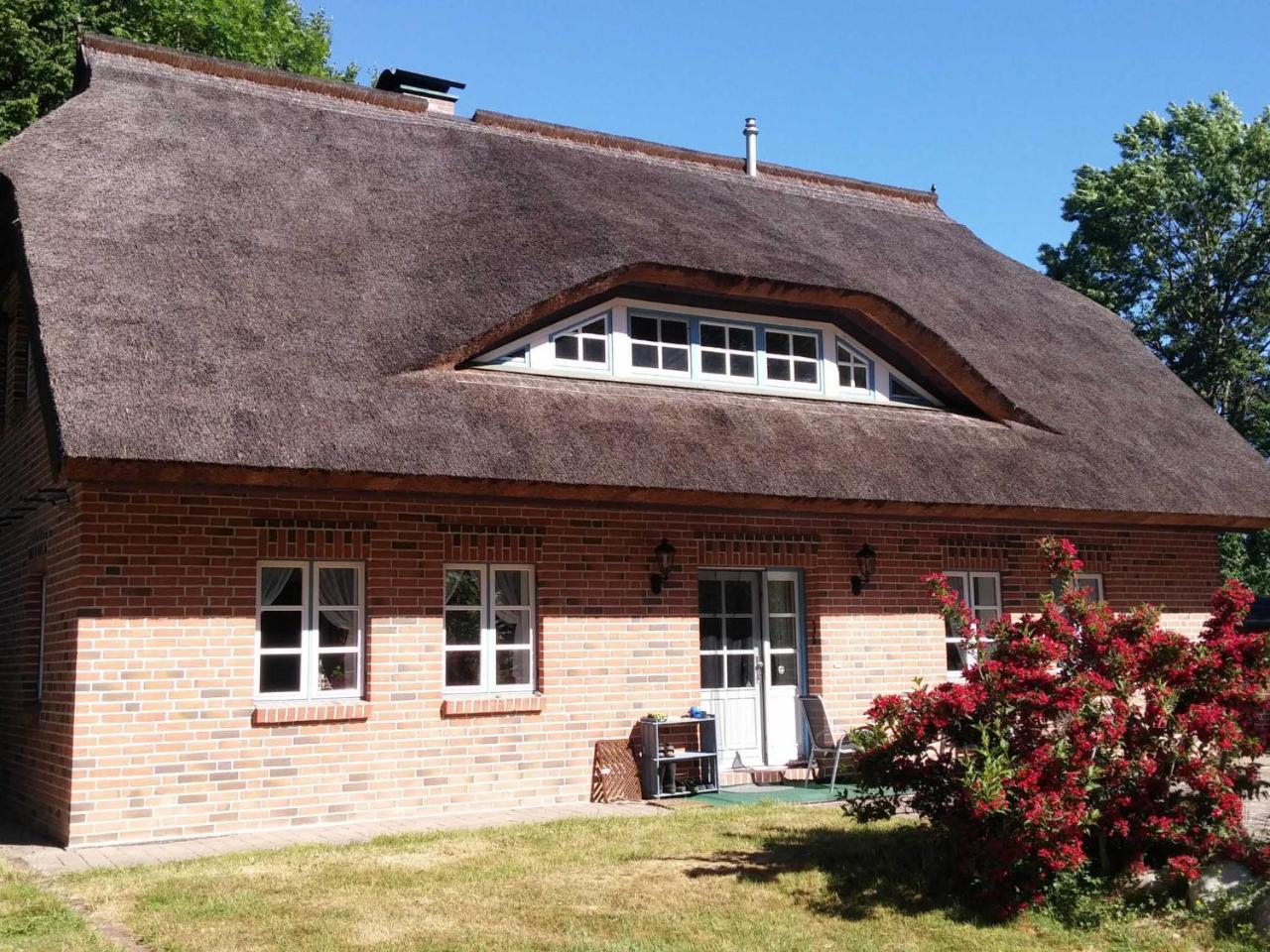 Premiumwohnung im Biosphärenreservat Vilmnitz Exteriör bild